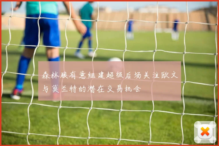 森林狼有意组建超级后场关注欧文与莫兰特的潜在交易机会