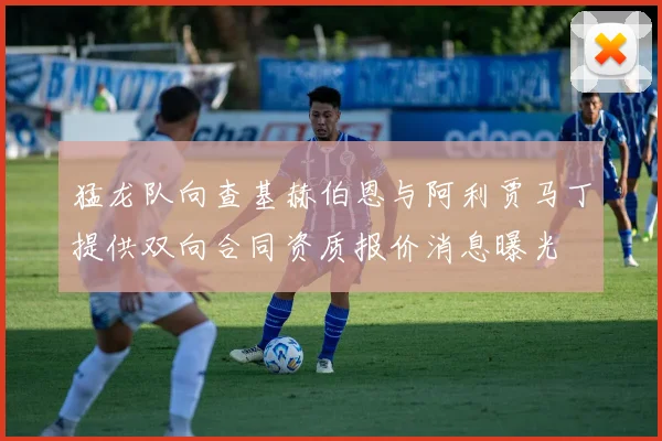 猛龙队向查基赫伯恩与阿利贾马丁提供双向合同资质报价消息曝光