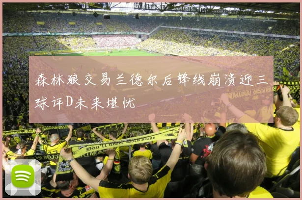 森林狼交易兰德尔后锋线崩溃迎三球评D未来堪忧